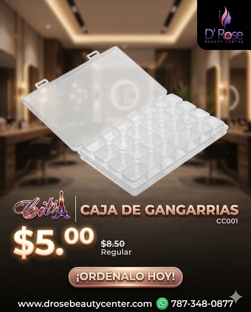 Cité Caja de Gangarrias Transparente 28 Grids CC001 – Organizador para Nail Art, Piedras y Accesorios