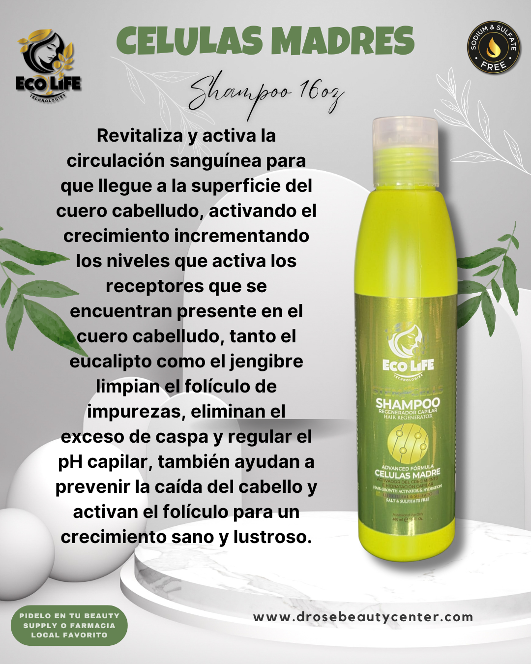 🧴 ECOLIFE TECHNOLOGIES – Shampoo Células Madre 16 oz