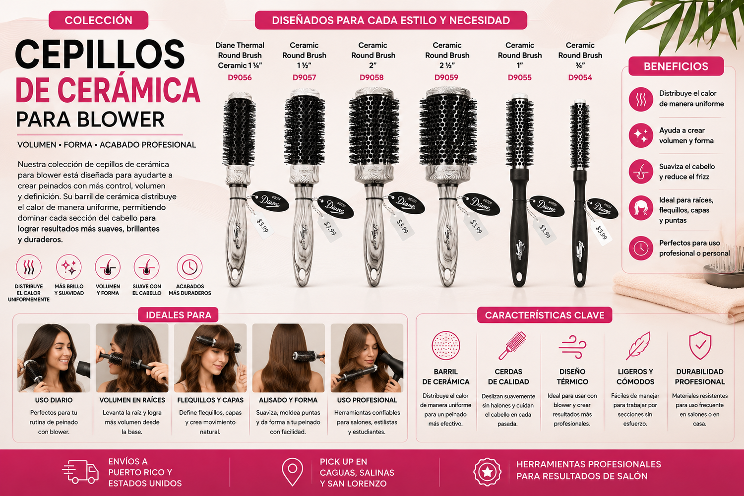 Cepillos de Cerámica para Blower