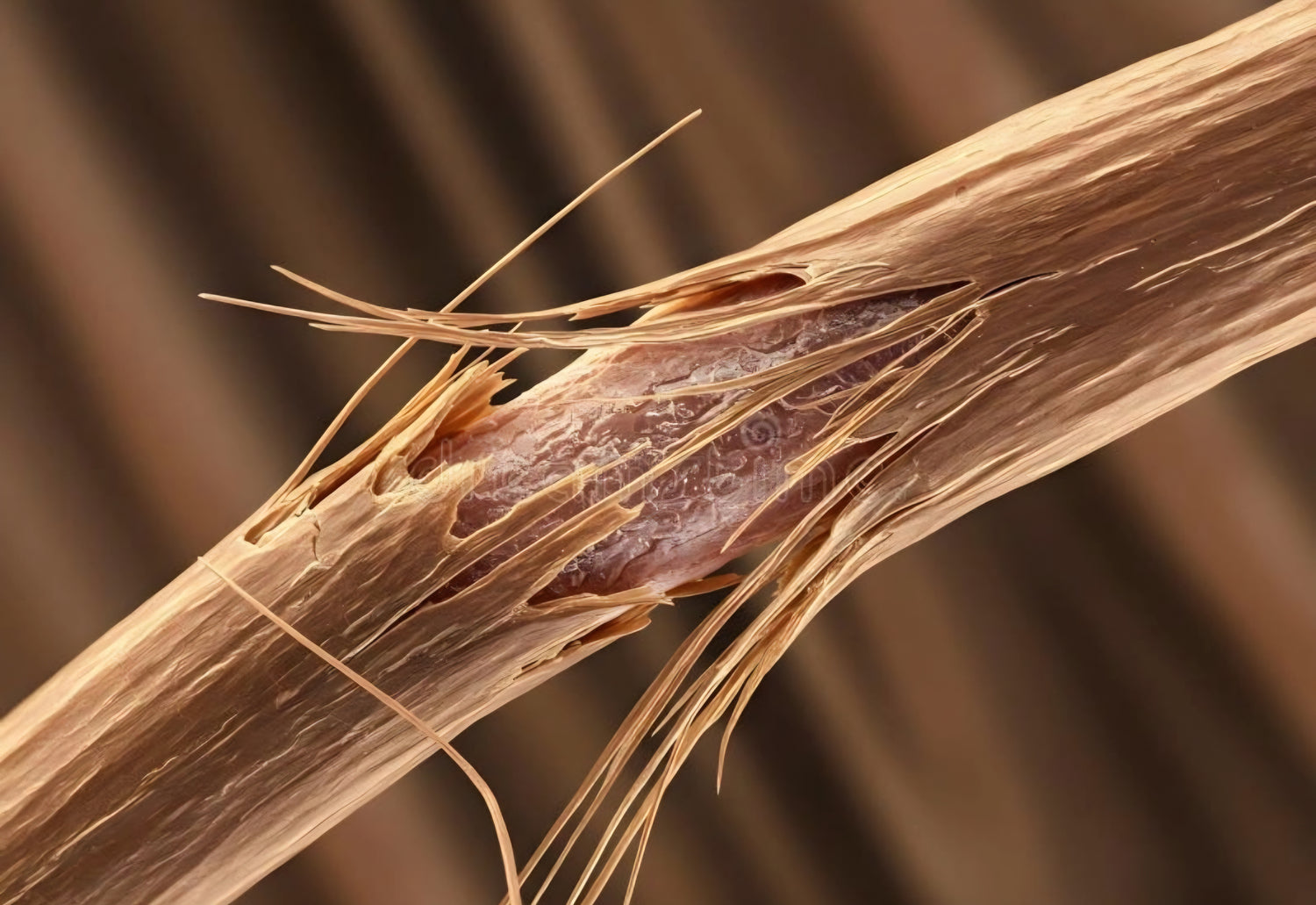 Reparación Capilar Intensiva