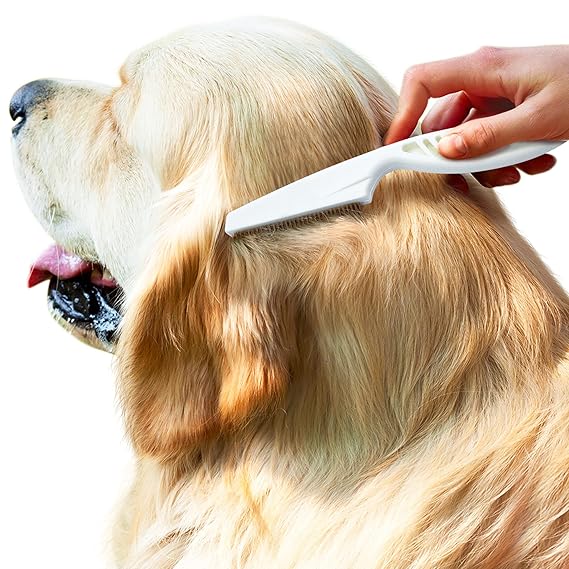 Beauty Style Peinilla de Piojo o Liendres en Metal con Mango 0618505