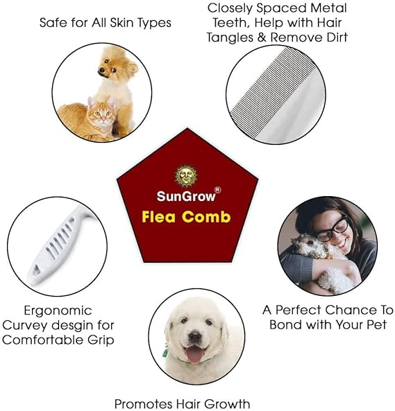 Beauty Style Peinilla de Piojo o Liendres en Metal con Mango 0618505