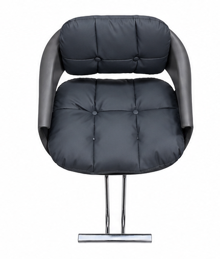 Beauty Style Silla Denise Profesional Negra Hidráulica Cromada 2525213