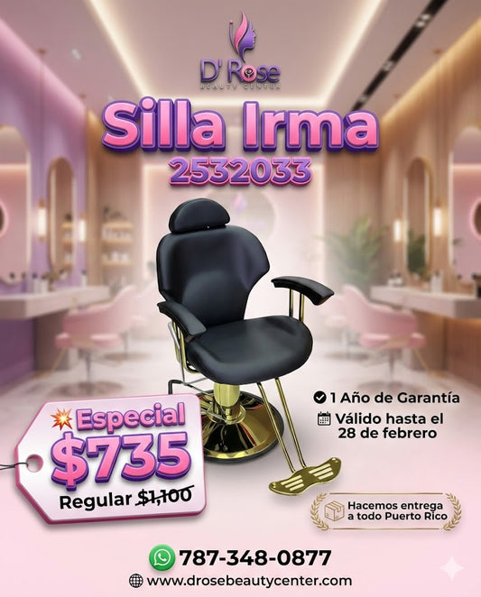 💺 Silla Reclinable Irma Beauty Style Profesional | ITEM #2532033