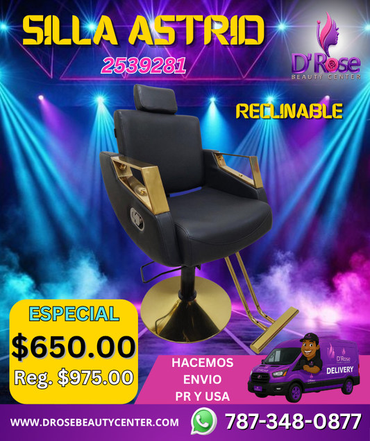 Beauty Style – Silla de Estilo o Barbería Astrid Reclinable Color Negro (2539281)