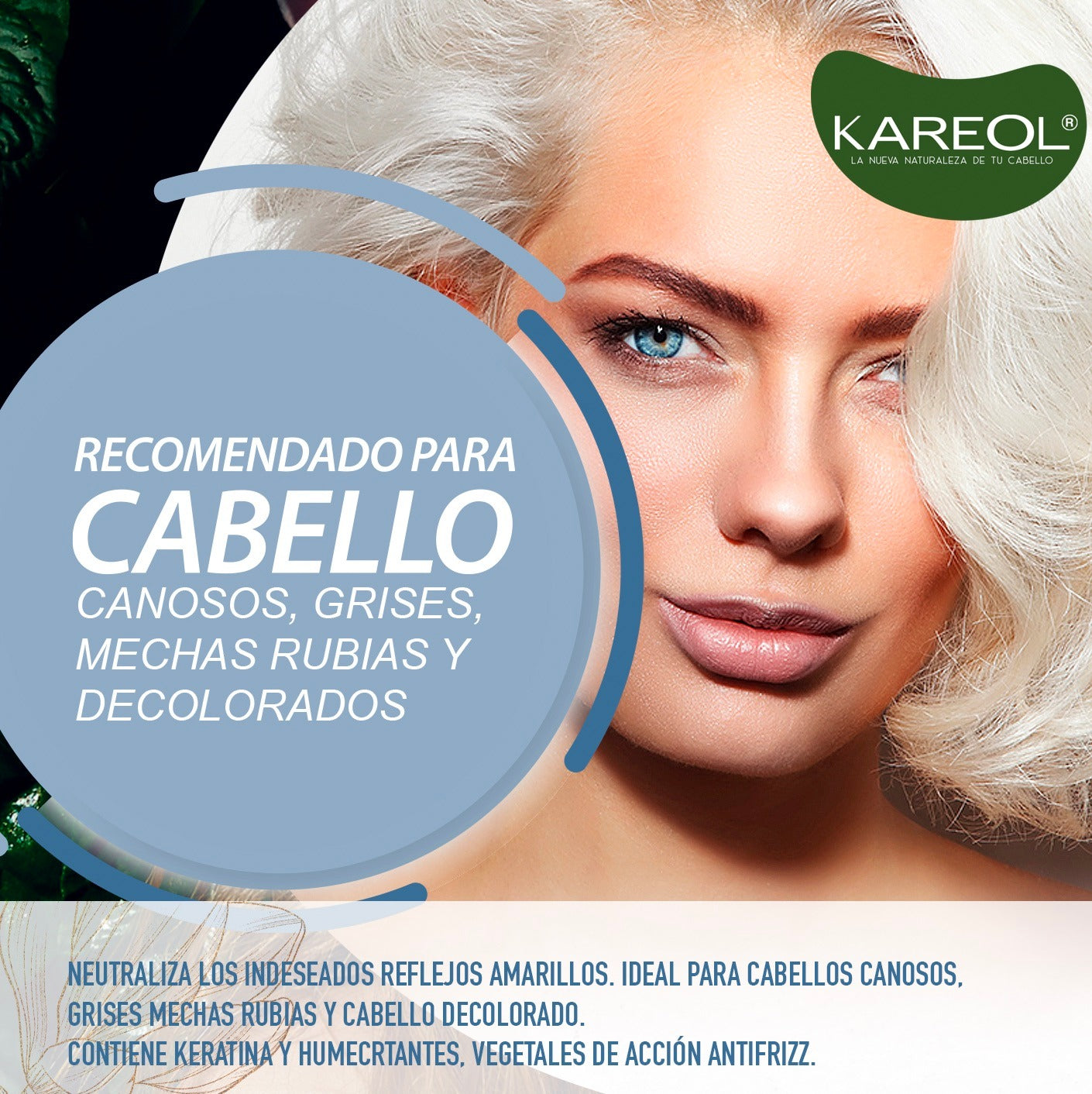 LANOSTERIN PROFESIONAL SILVER SHAMPOO 8.45OZ 40070250
