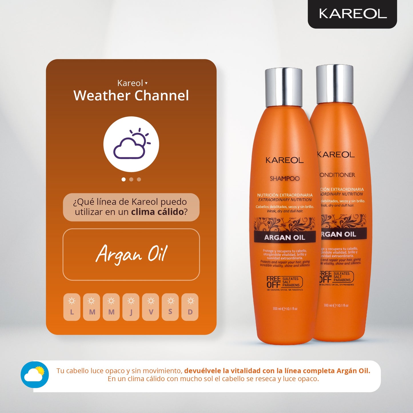 KAREOL ARGAN OIL SHAMPOO 10.1OZ 381010300