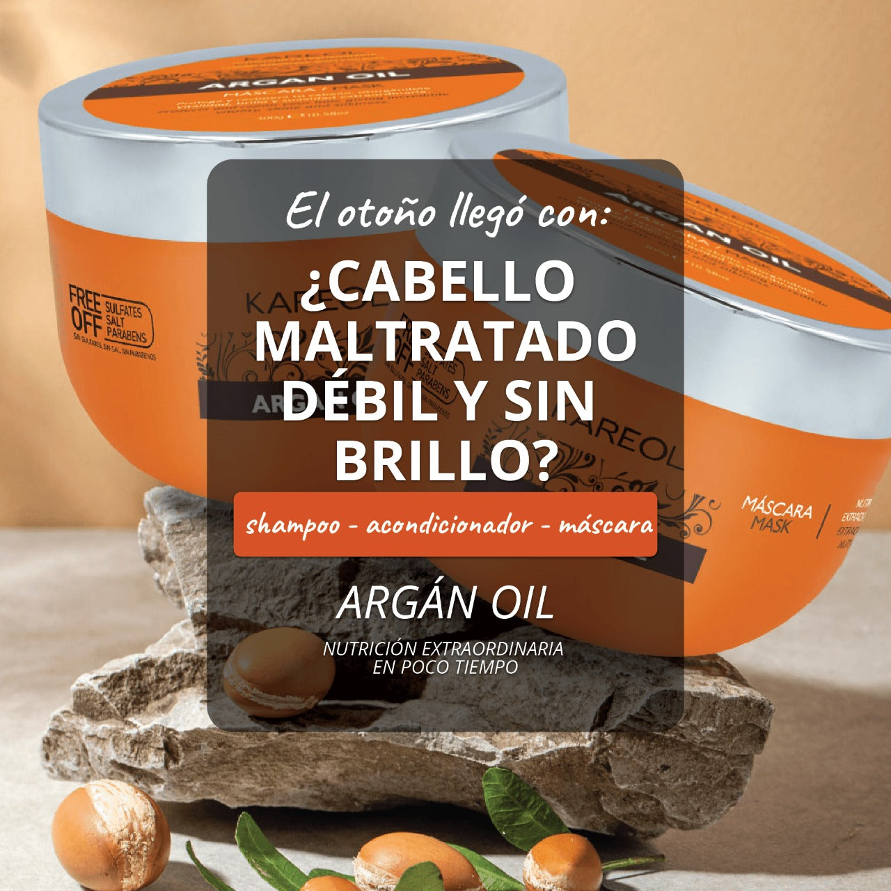 KAREOL ARGAN OIL MASCARILLA 10.58OZ 381030300