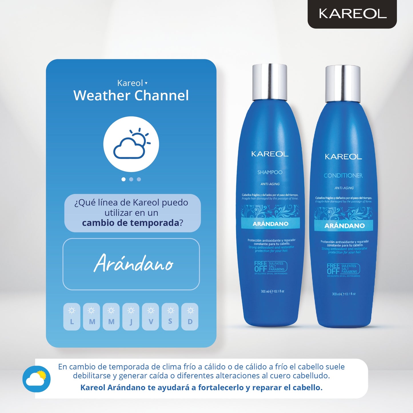 KAREOL ARANDANO SHAMPOO 10.1OZ 384010300