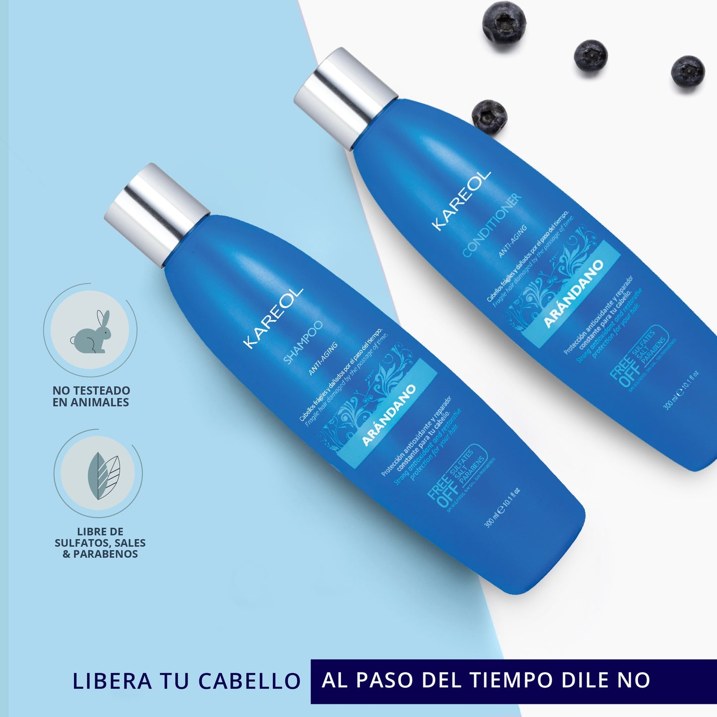 KAREOL ARANDANO SHAMPOO 10.1OZ 384010300