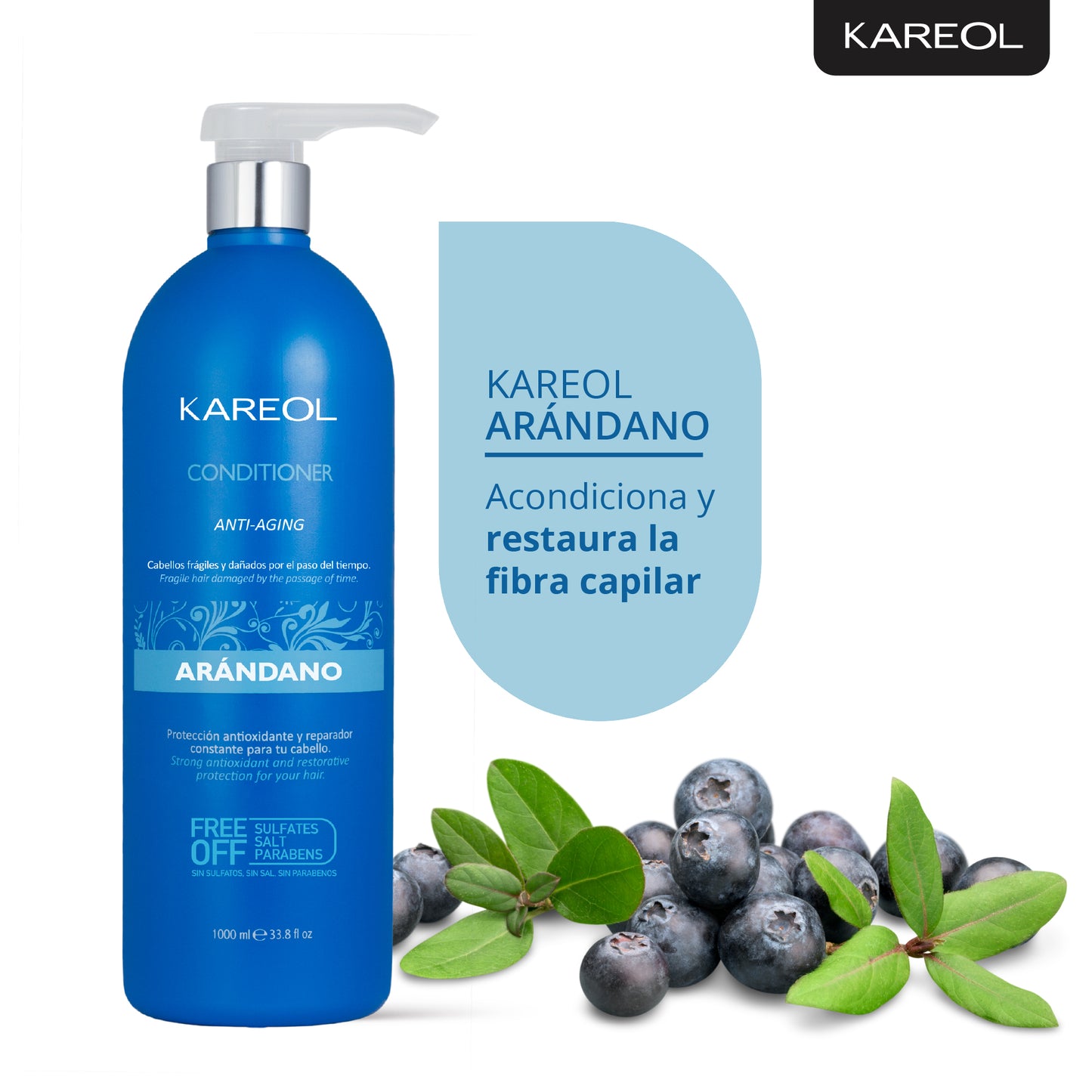 KAREOL ARANDANO ACONDICIONADOR 33.8OZ 384021000