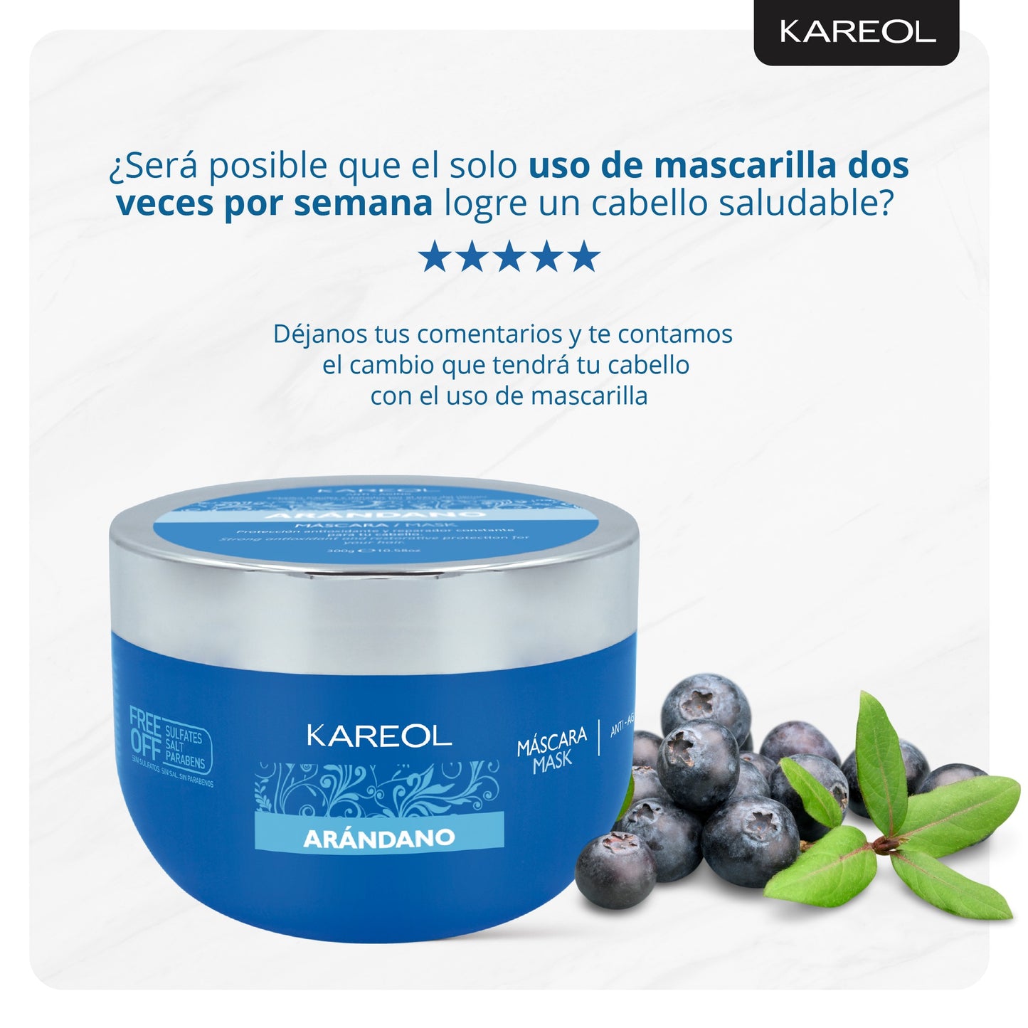 KAREOL ARANDANO MASCARILLA 10.58OZ 384030300