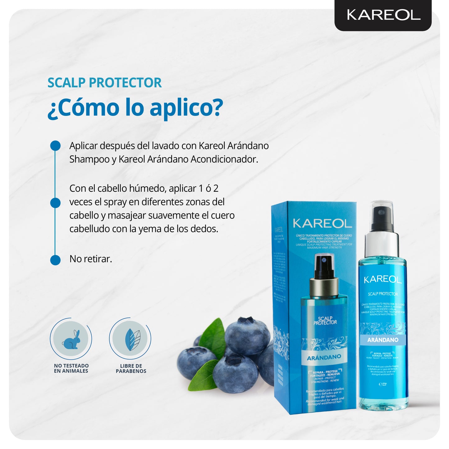 KAREOL ARANDANO SCALP PROTECTOR 4OZ 3888010120