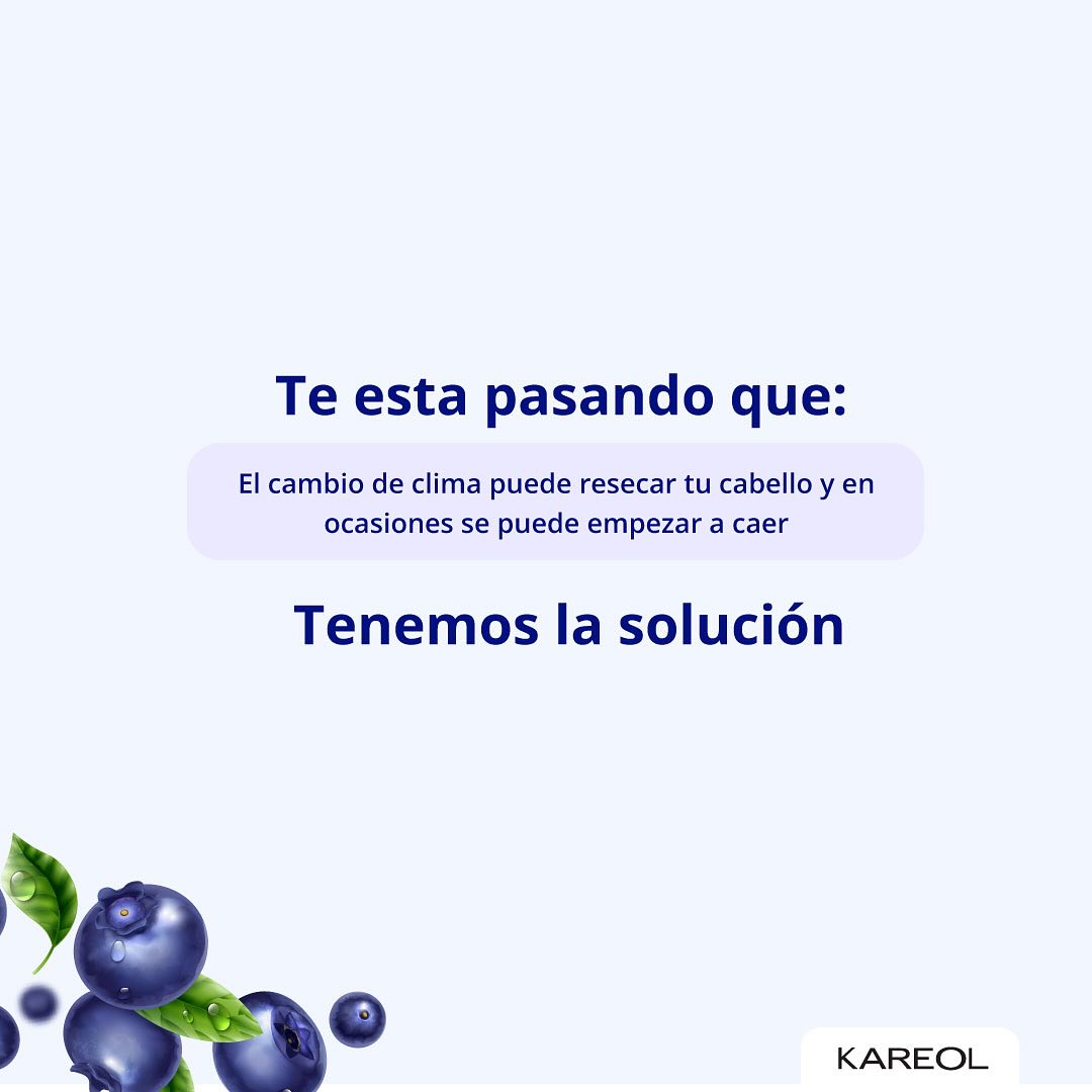KAREOL ARANDANO ACONDICIONADOR 10.1OZ 384021000