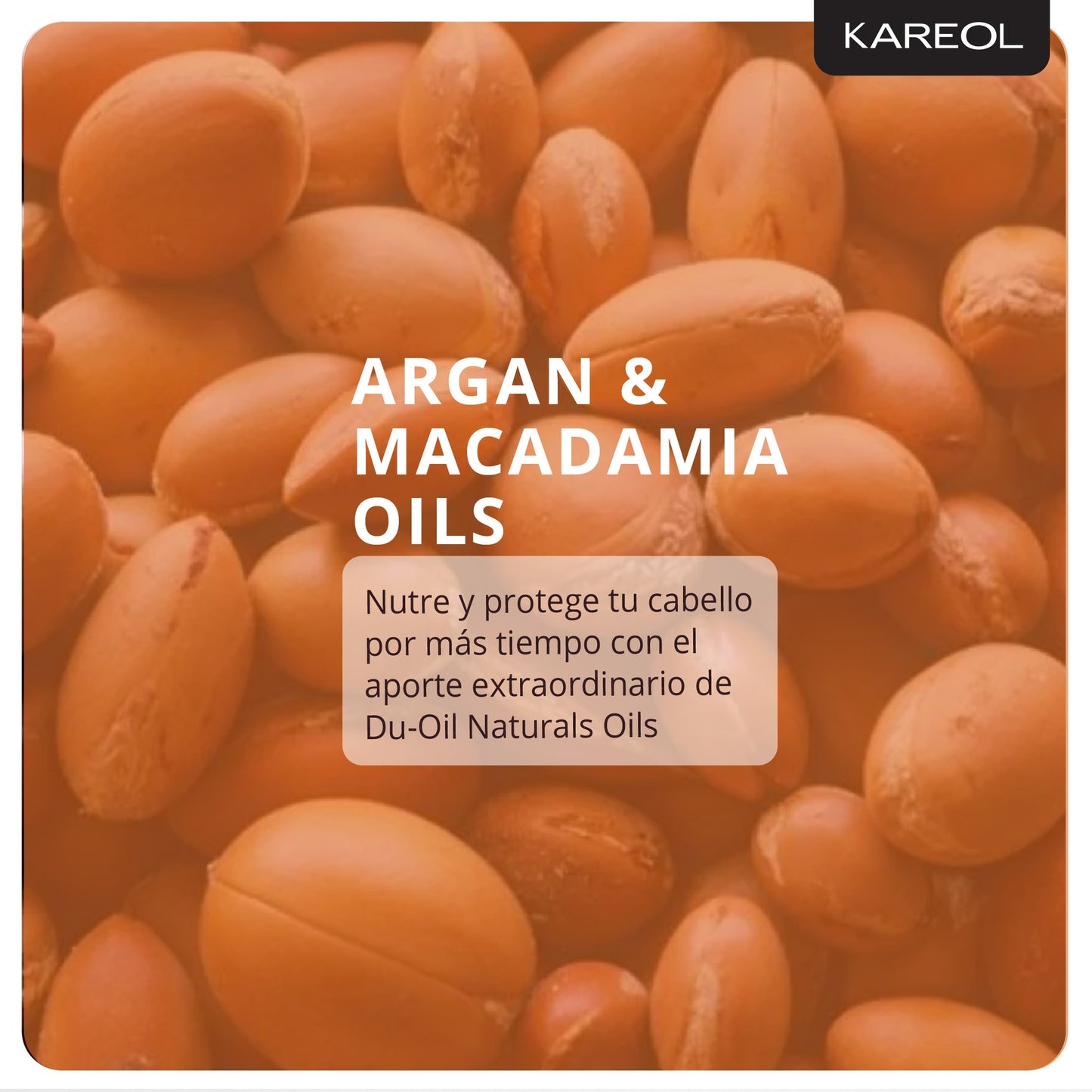 KAREOL ARGAN OIL KIT DE MANTENIMIENTO 4PC PK3810203