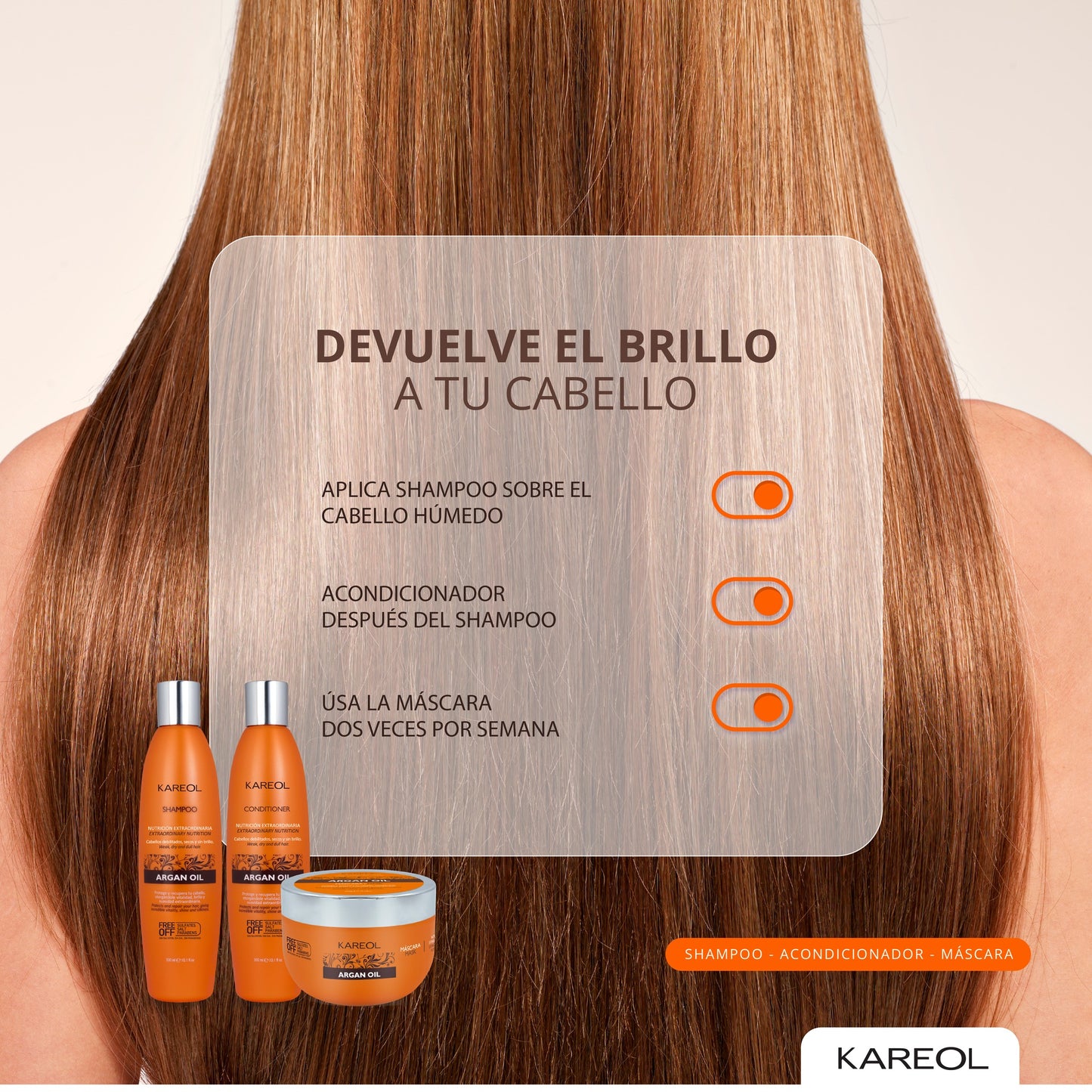 KAREOL ARGAN OIL SHAMPOO 10.1OZ 381010300