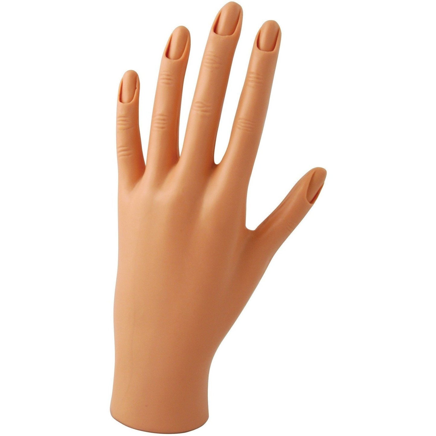 DIANE Practice Hand D902 – Mano de Práctica para Uñas, Acrílico, Gel y Nail Art