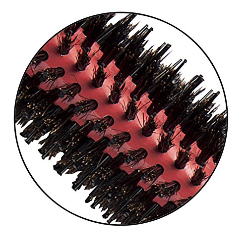 Diane Thermal Boar & Nylon Pin Round Brush Small D9260 – Cepillo Térmico Redondo Pequeño
