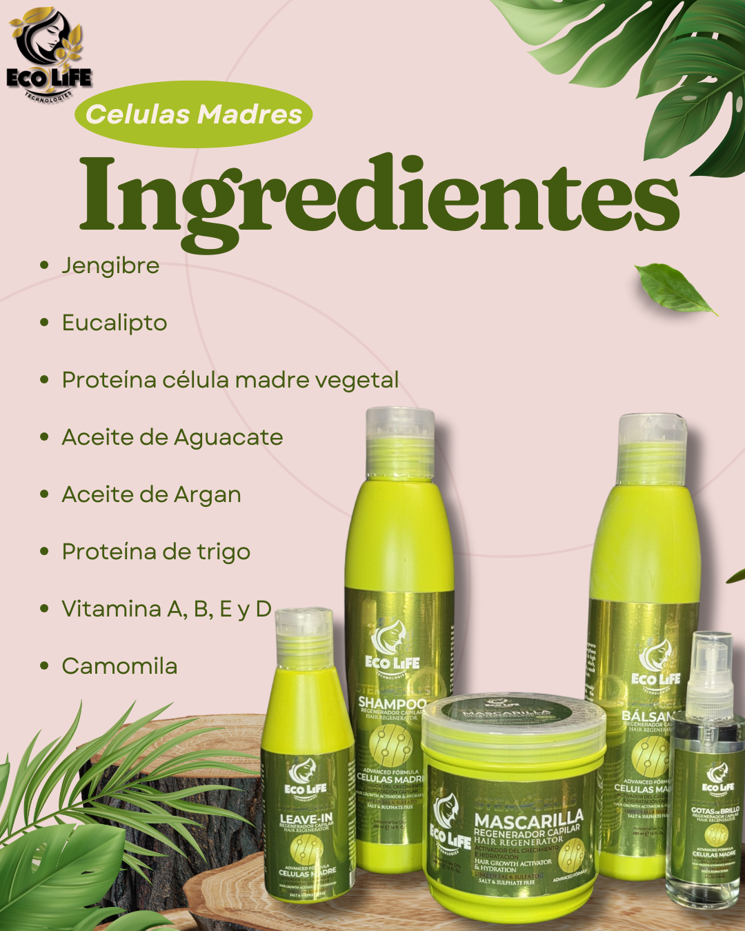 🌿 ECOLIFE TECHNOLOGIES Células Madre – Kit de Mantenimiento 5PC