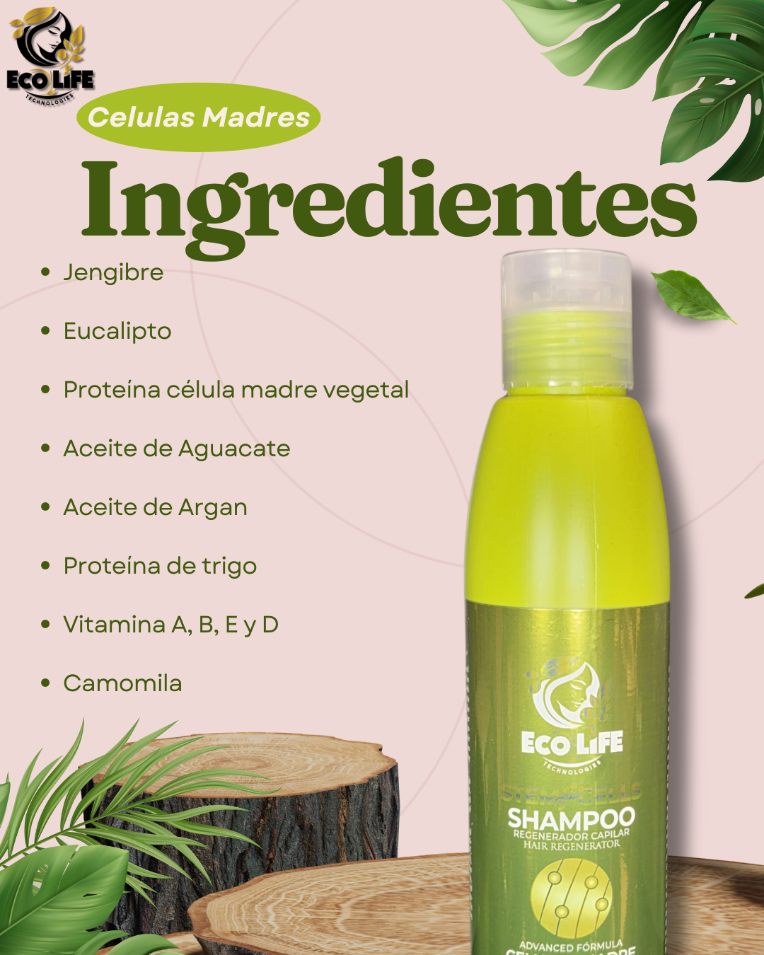 🧴 ECOLIFE TECHNOLOGIES – Shampoo Células Madre 16 oz