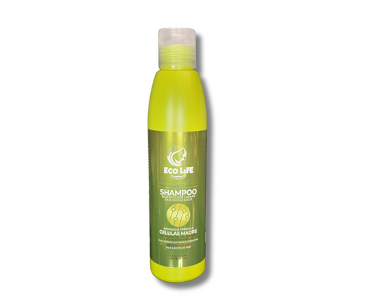 💚 ECOLIFE TECHNOLOGIES – SHAMPOO CÉLULAS MADRE 16oz