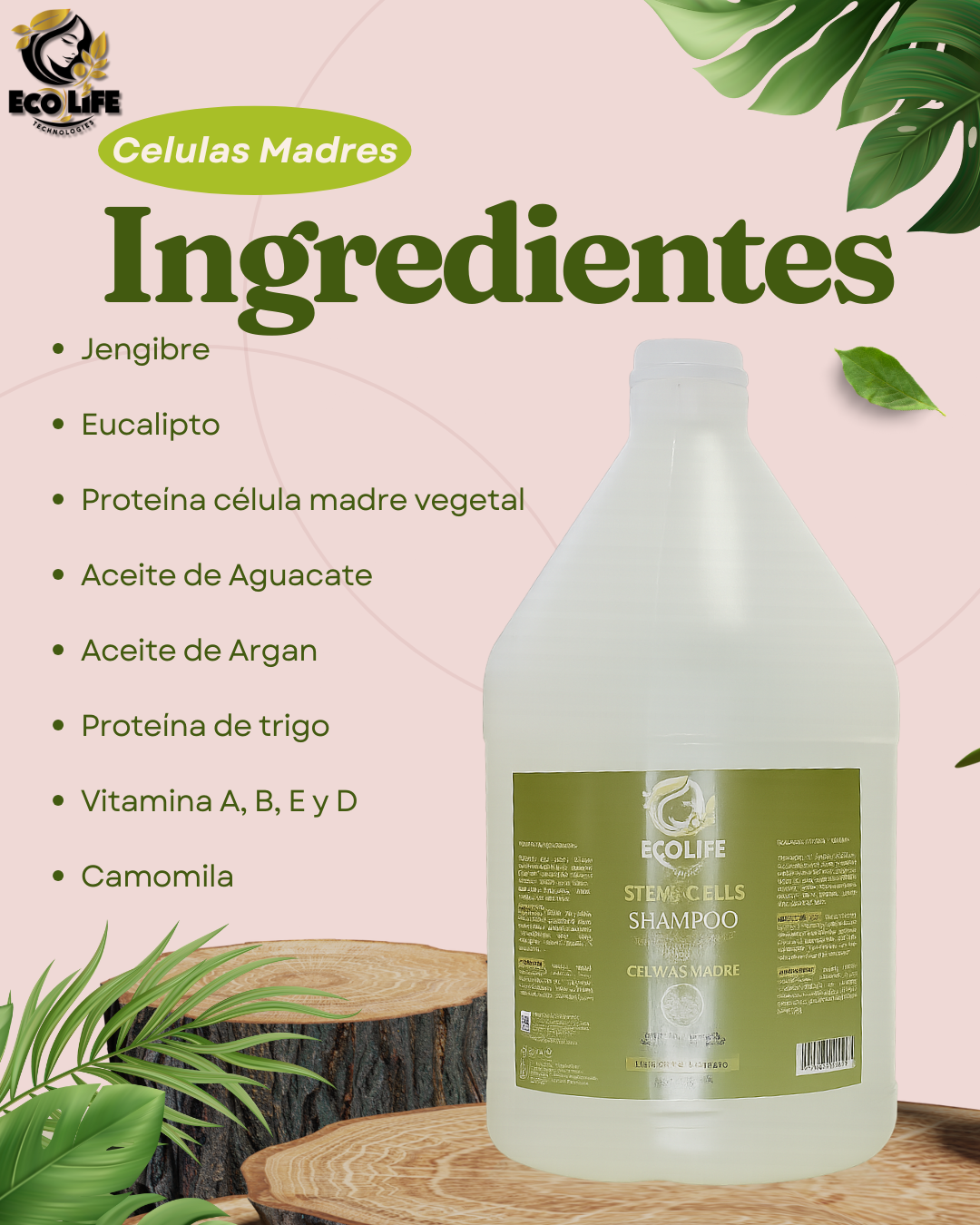 💚 ECOLIFE TECHNOLOGIES – SHAMPOO CÉLULAS MADRE GALÓN