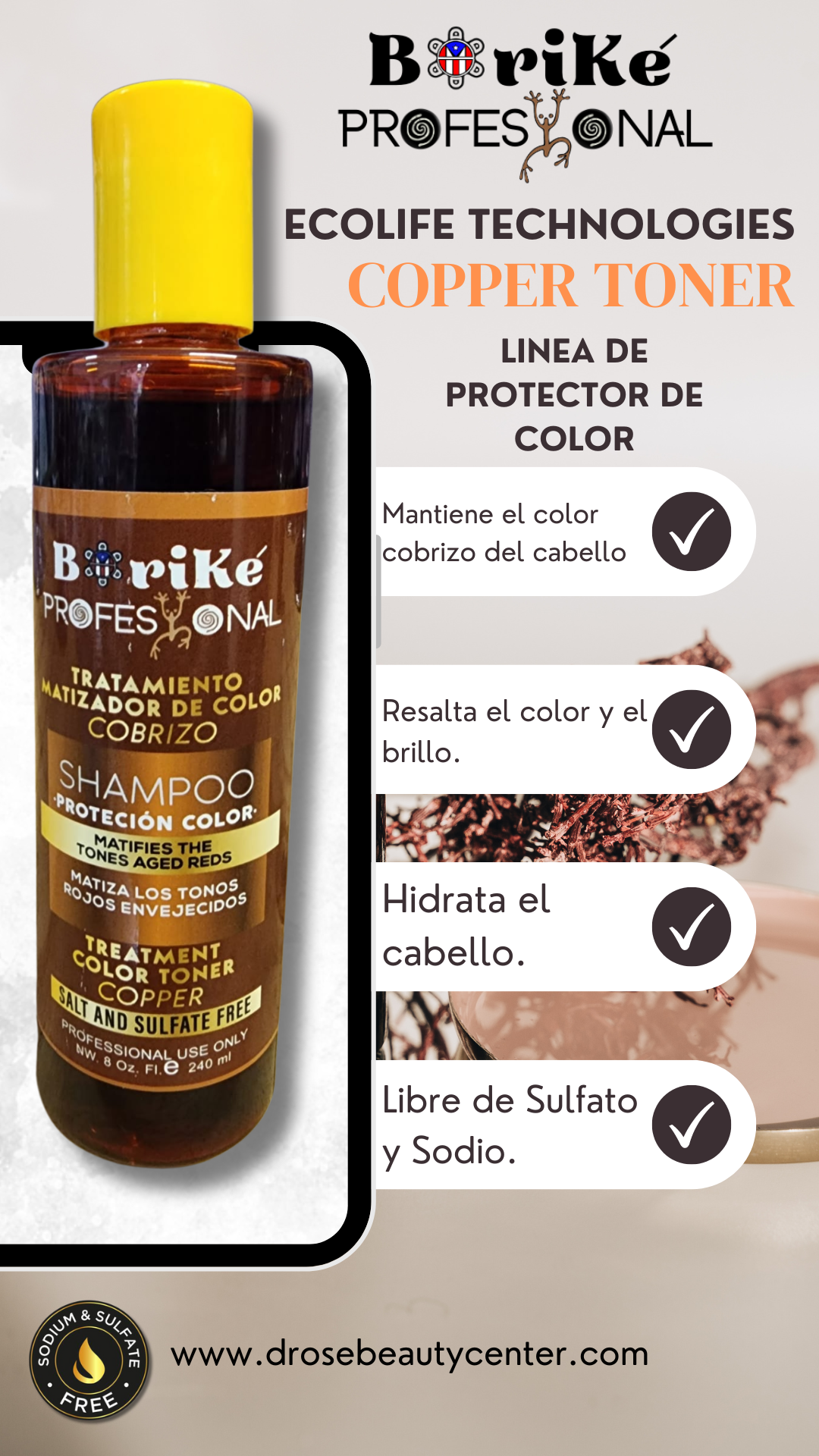 BORIKE PROFESSIONAL COLOR PROTECTOR COPPER KIT DE MANTENIMIENTO 2PC BPCPCK2