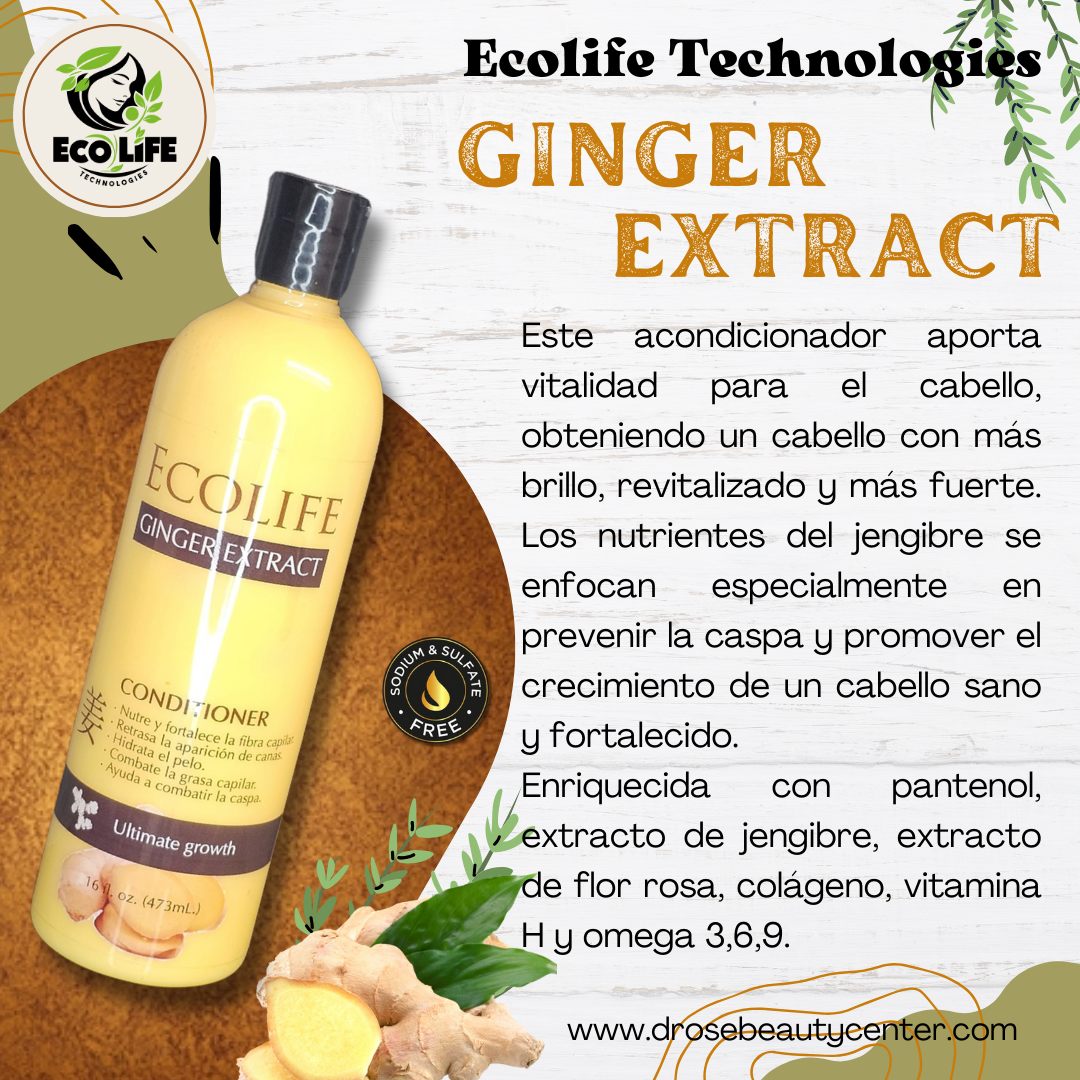 Ecolife Technologies – Ginger Extract Acondicionador 16oz
