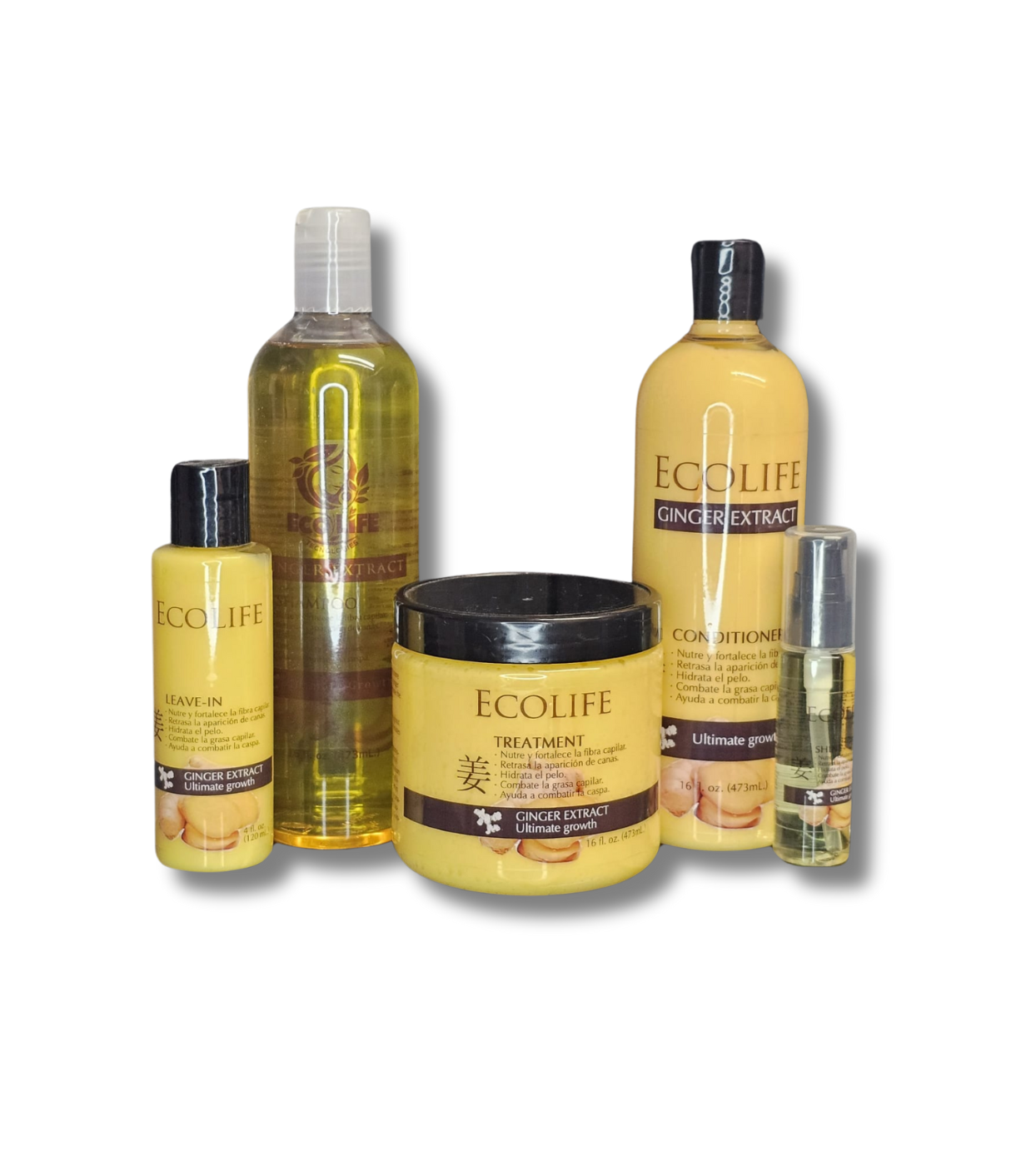ECOLIFE TECHNOLOGIES GINGER EXTRACT KIT DE MANTENIMIENTO 5PC ETGEK5