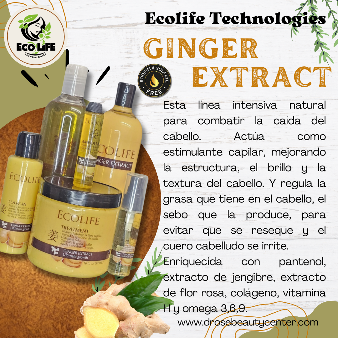 ECOLIFE TECHNOLOGIES GINGER EXTRACT KIT DE MANTENIMIENTO 5PC ETGEK5