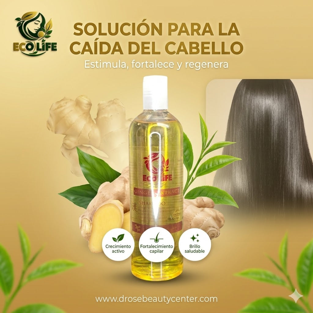 🌿🔥 SHAMPOO ANTICAÍDA ECOLIFE GINGER EXTRACT 16oz – CRECIMIENTO + LIMPIEZA PROFUNDA 💆‍♀️✨