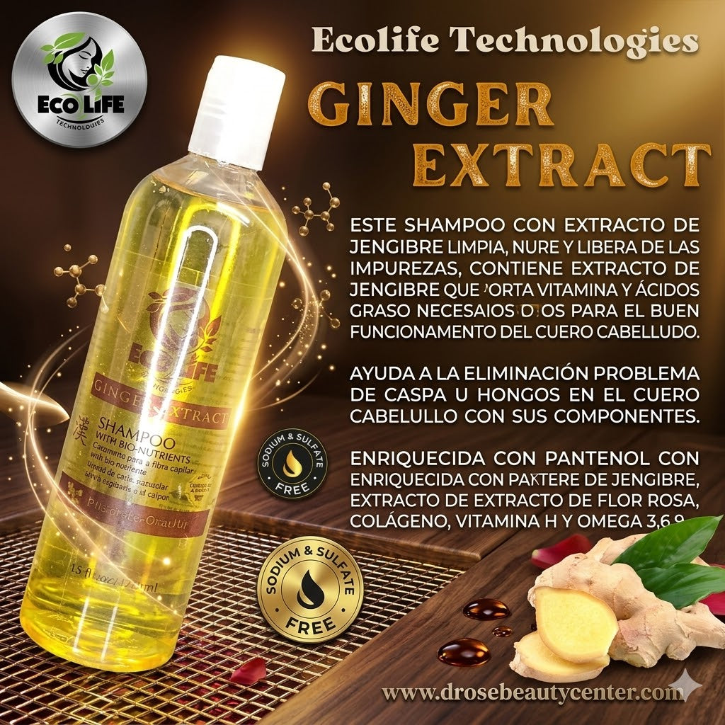 🌿🔥 SHAMPOO ANTICAÍDA ECOLIFE GINGER EXTRACT 16oz – CRECIMIENTO + LIMPIEZA PROFUNDA 💆‍♀️✨