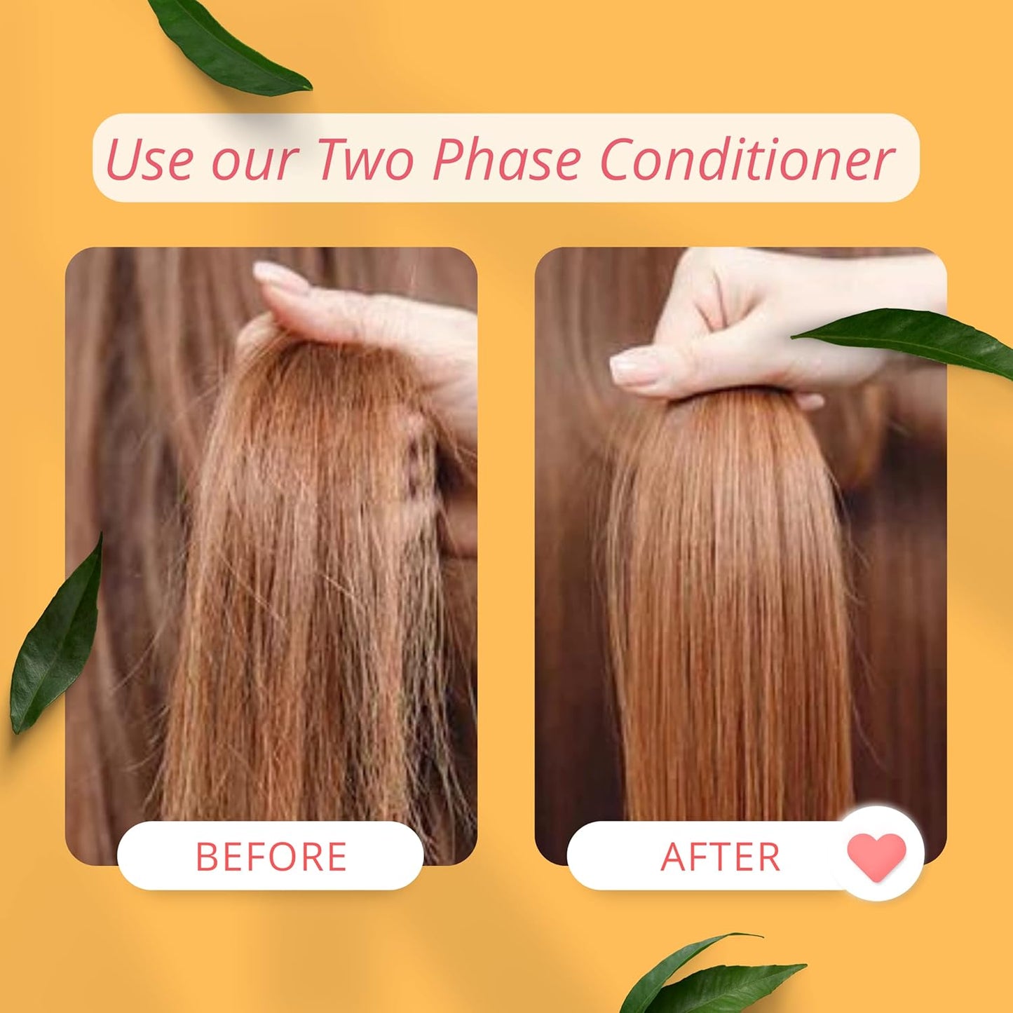 MORFOSE PROFESSIONAL BIOTIN TWO PHASE CONDITIONER 7.4OZ (MBTPC)