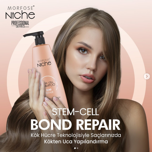MORFOSE NICHE BOND REPAIR SHAMPOO 13.52oz – Stem Cell