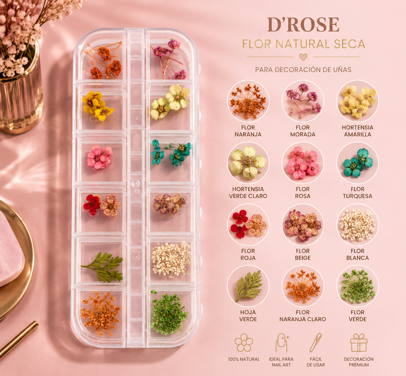 Spiral Kit de Flores Secas Naturales para Nail Art NSB0204