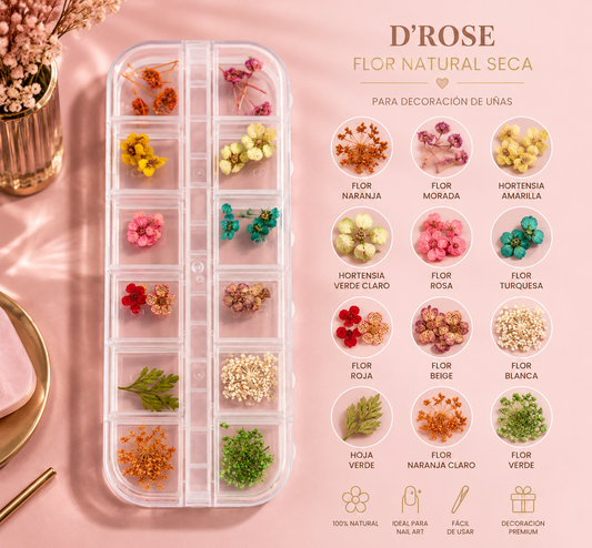 Spiral Kit de Flores Secas Naturales para Nail Art NSB0204