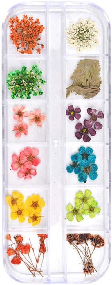 Spiral Kit de Flores Secas Naturales para Nail Art NSB0204
