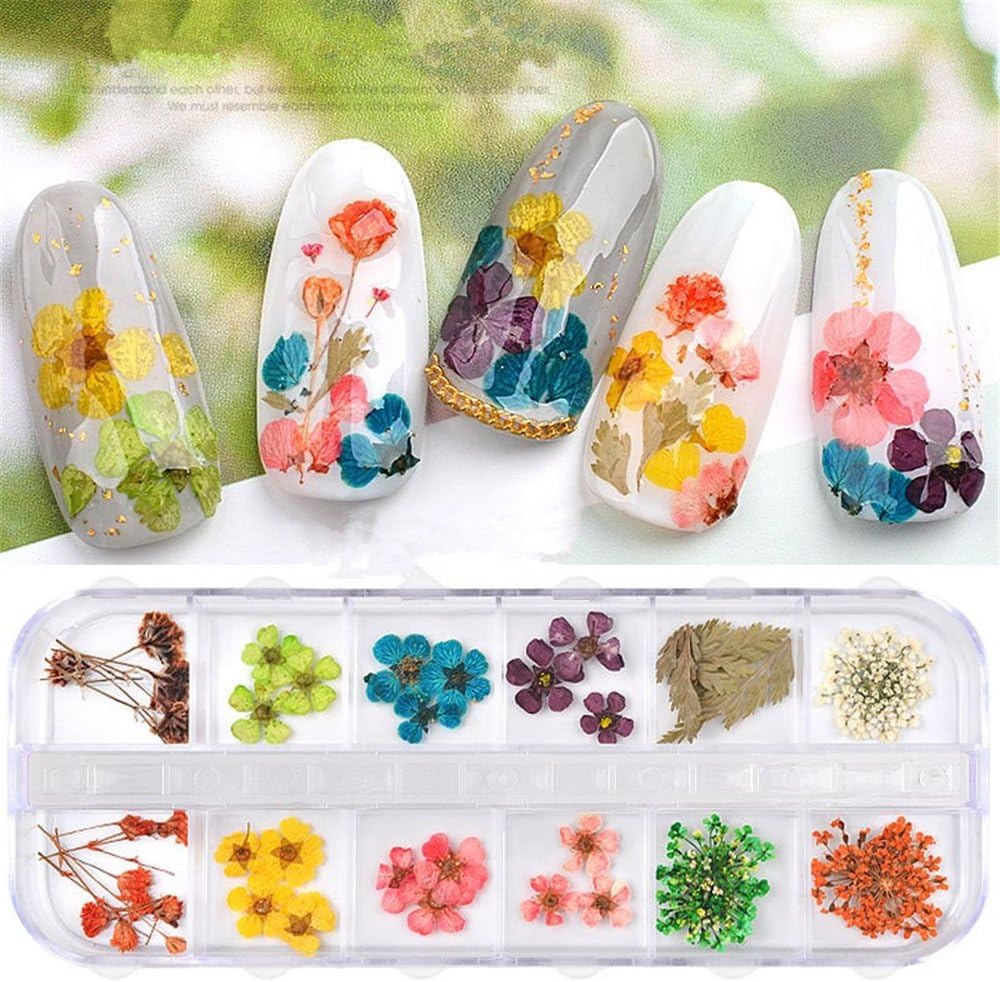 Spiral Kit de Flores Secas Naturales para Nail Art NSB0204