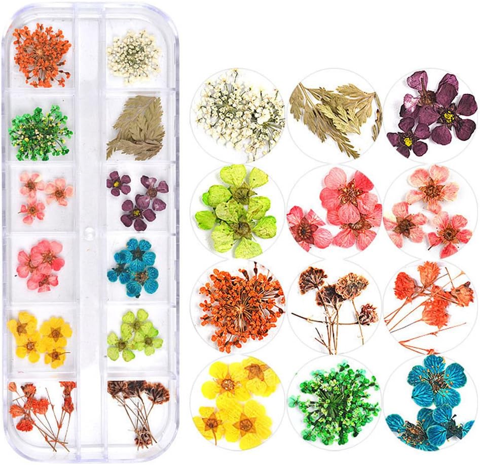 Spiral Kit de Flores Secas Naturales para Nail Art NSB0204