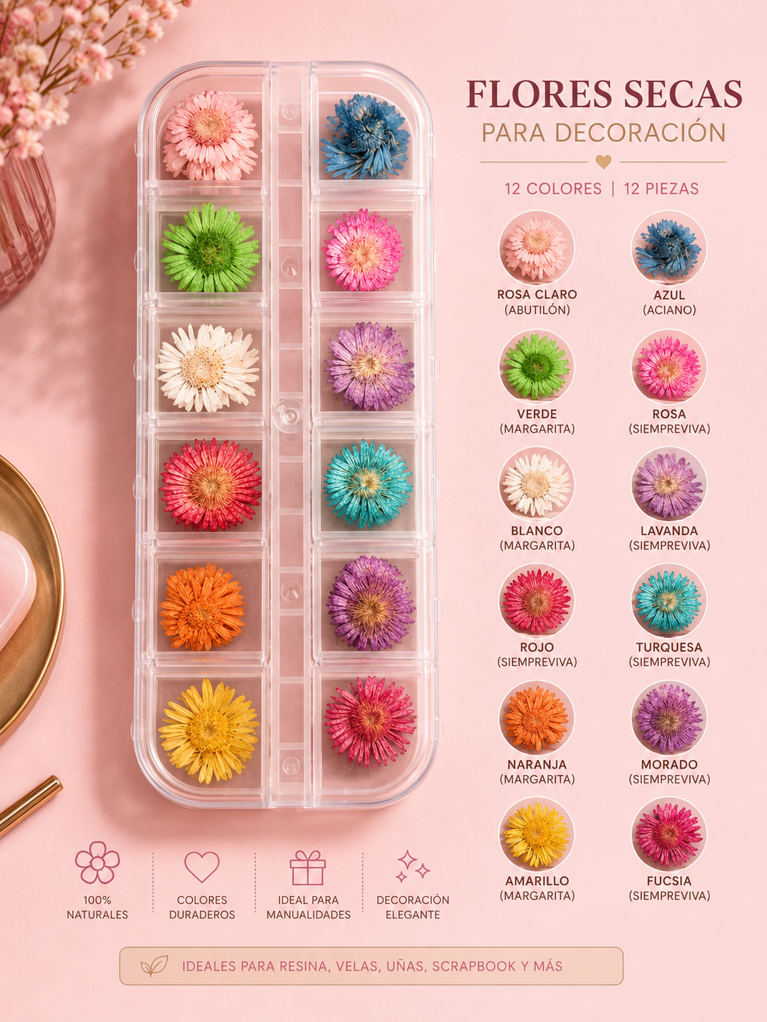 Spiral Kit de Flores Secas Naturales Multicolor para Nail Art NSB0205