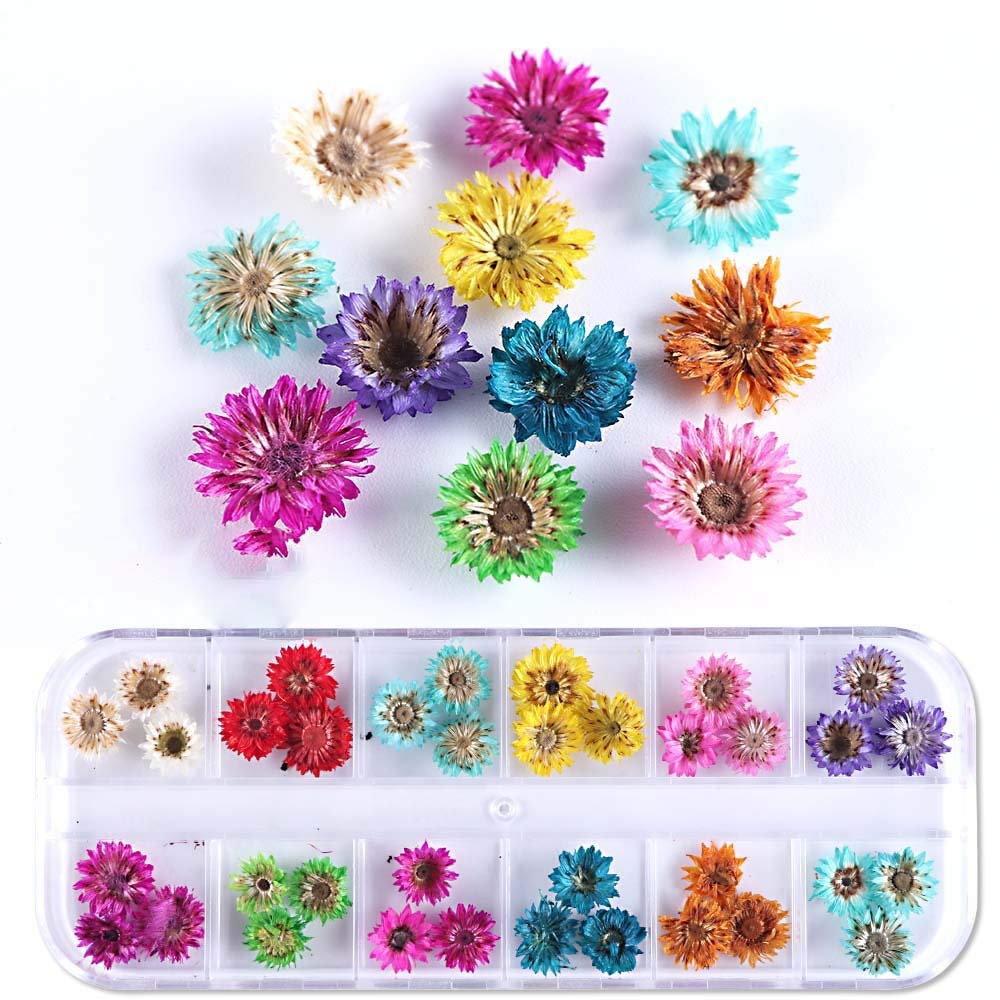 Spiral Kit de Flores Secas Naturales Multicolor para Nail Art NSB0205