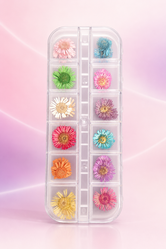 Spiral Kit de Flores Secas Naturales Multicolor para Nail Art NSB0205