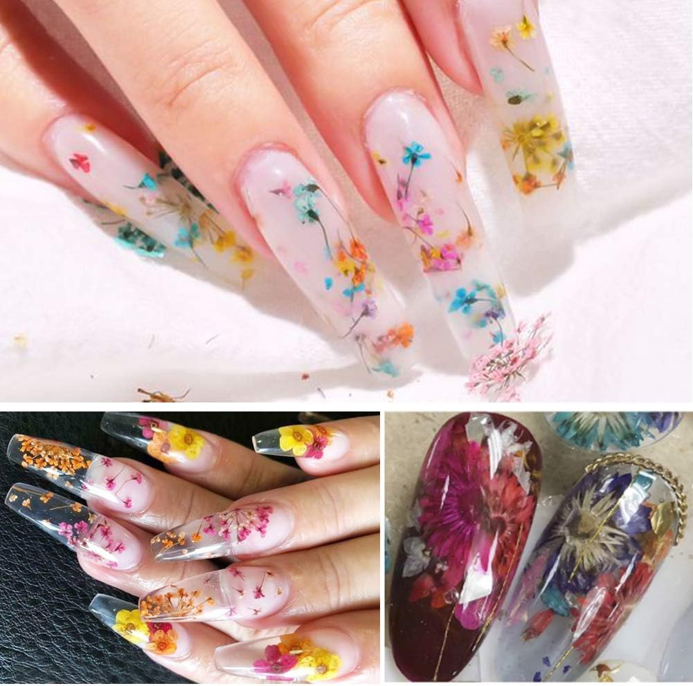Spiral Kit de Flores Secas Naturales Multicolor para Nail Art NSB0205