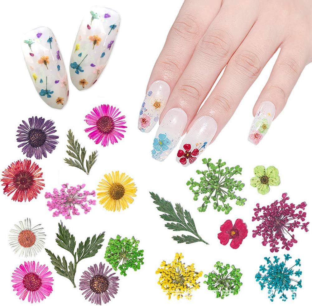 Spiral Kit de Flores Secas Naturales Multicolor para Nail Art NSB0205