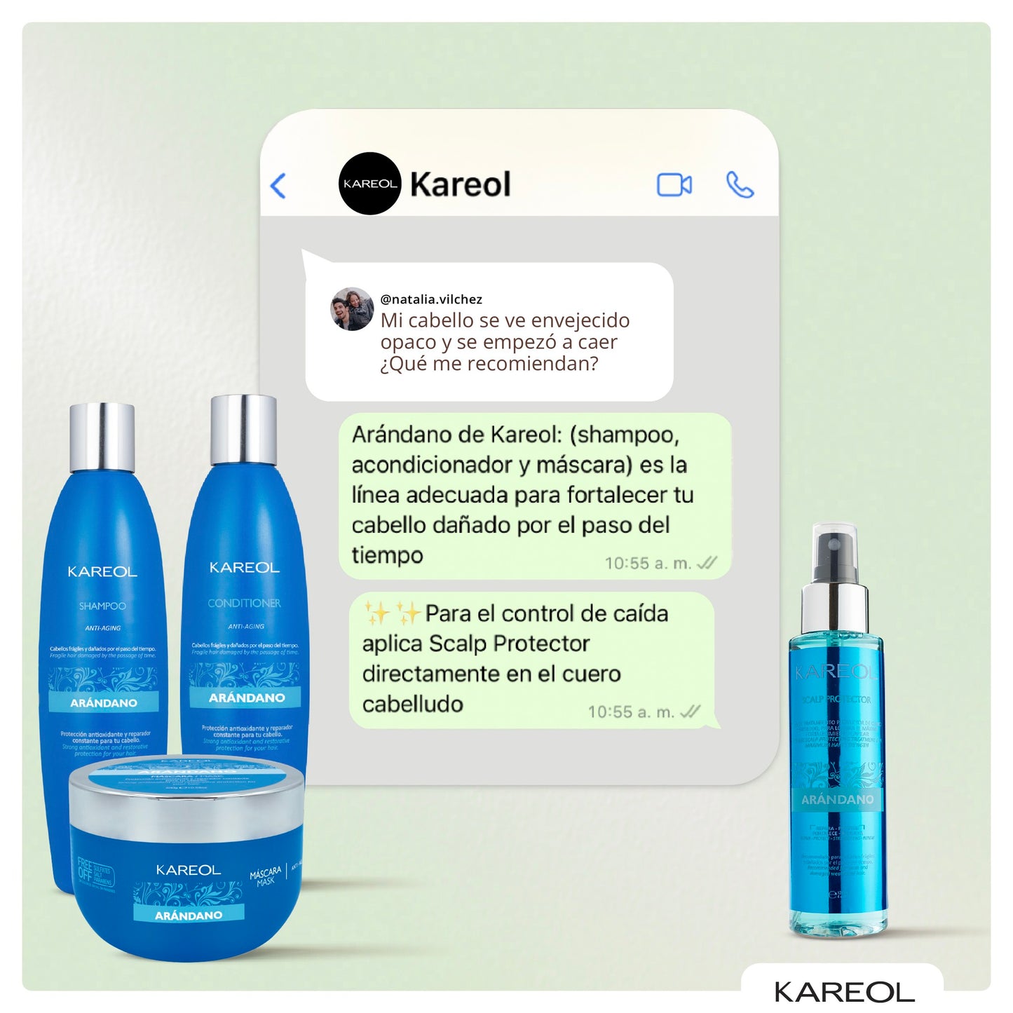 KAREOL ARANDANO KIT DE MANTENIMIENTO 4PC PK3840203