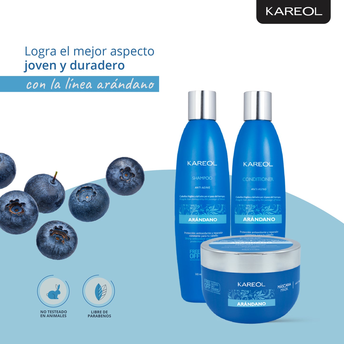 KAREOL ARANDANO KIT DE MANTENIMIENTO 4PC PK3840203