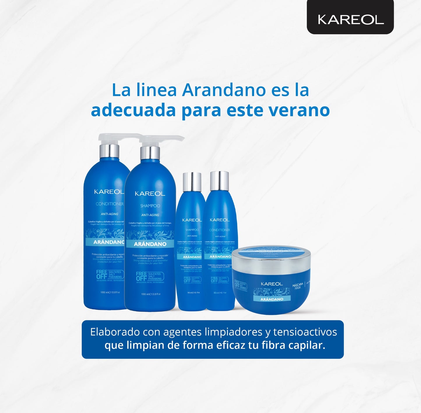 KAREOL ARANDANO KIT DE MANTENIMIENTO 4PC PK3840203