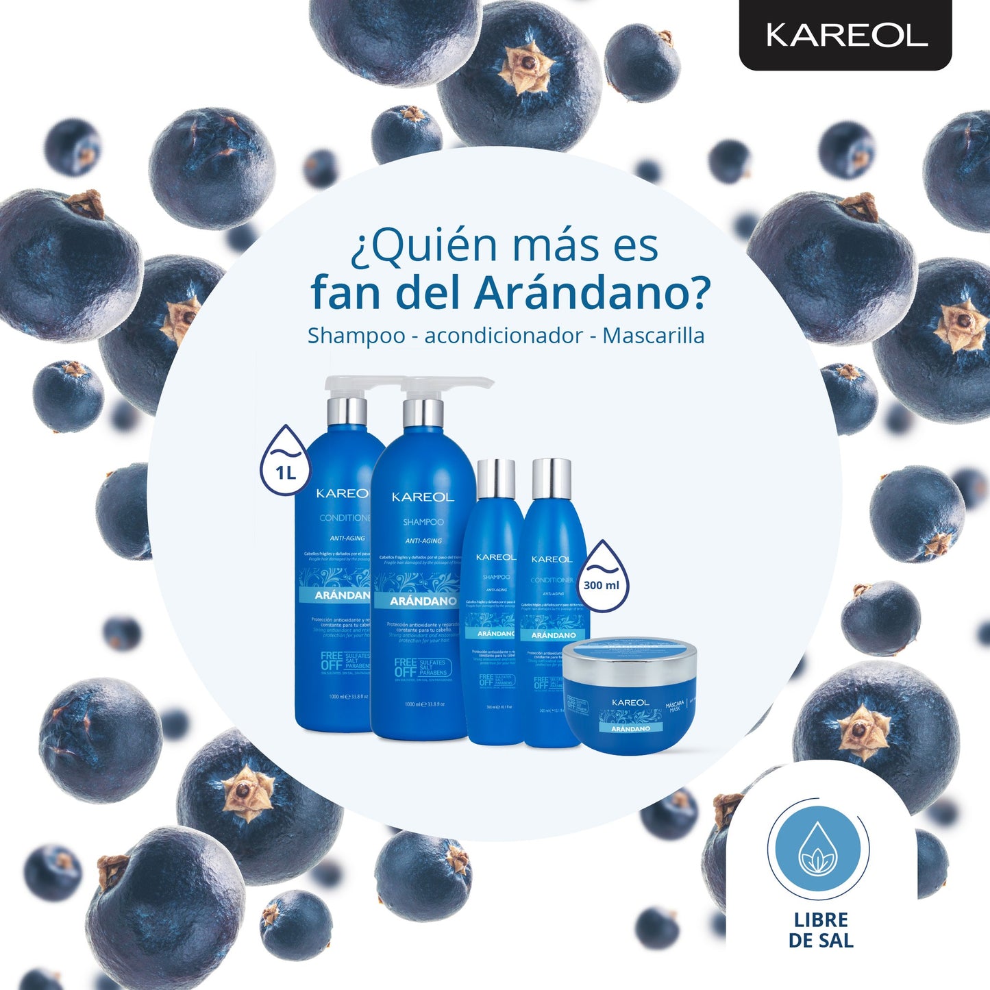 KAREOL ARANDANO KIT DE MANTENIMIENTO 4PC PK3840203
