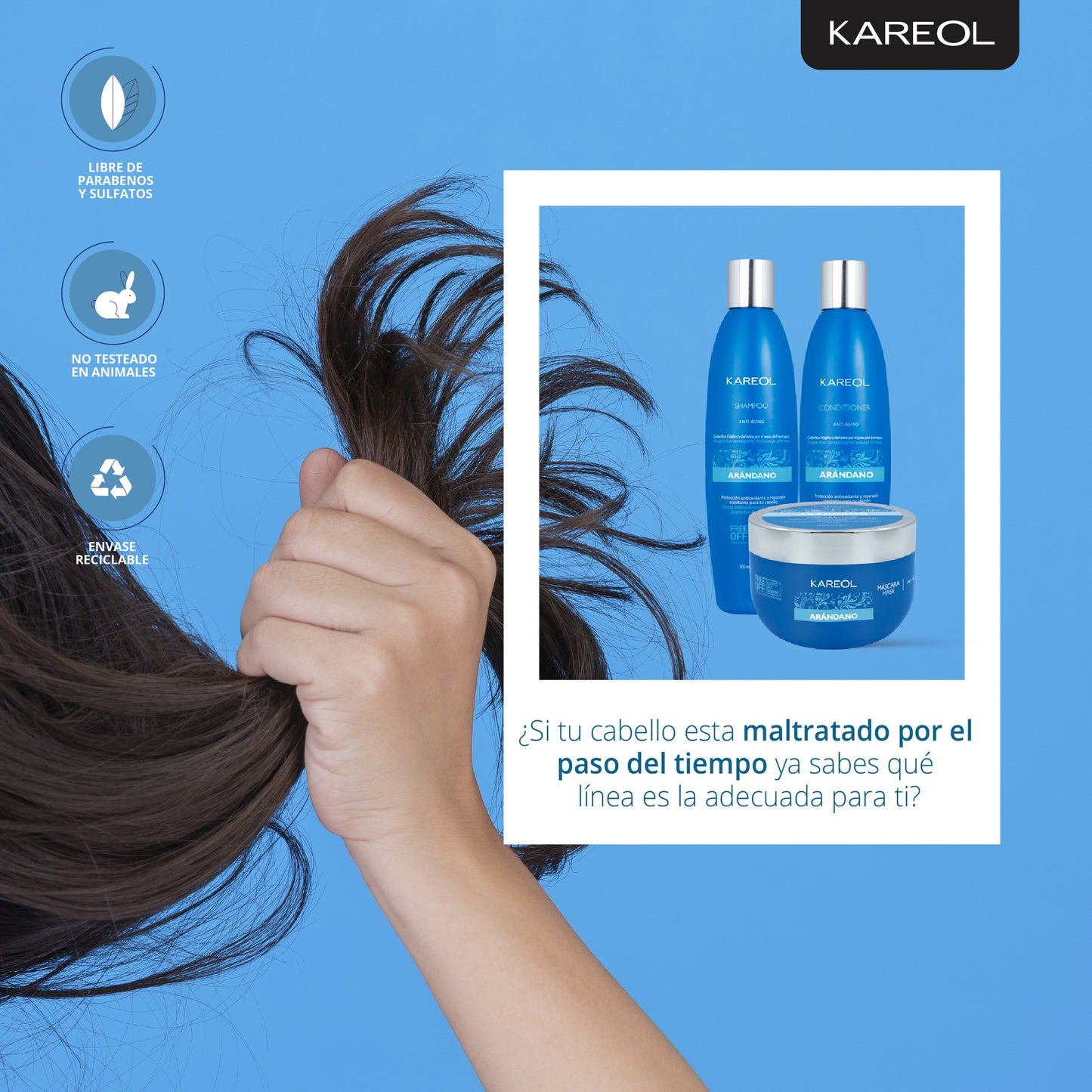 KAREOL ARANDANO ACONDICIONADOR 33.8OZ 384021000