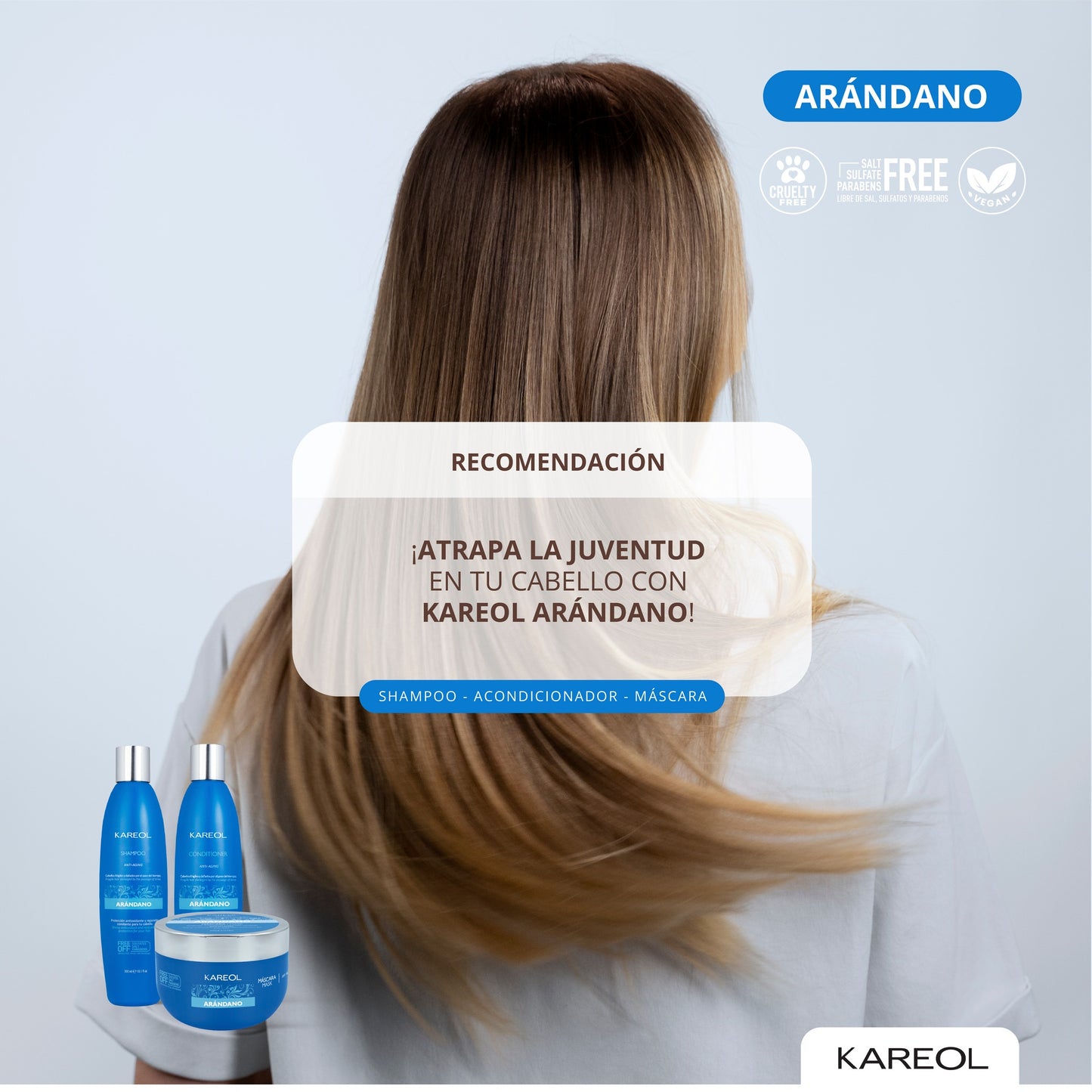 KAREOL ARANDANO ACONDICIONADOR 33.8OZ 384021000
